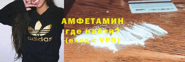 сатива Беломорск