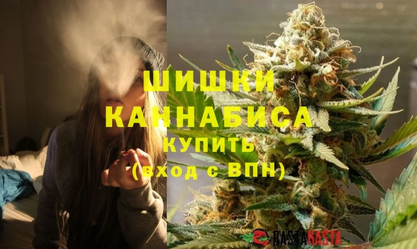 трава Белокуриха