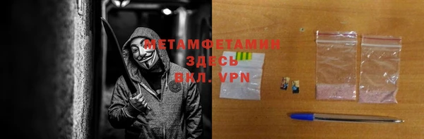сатива Беломорск