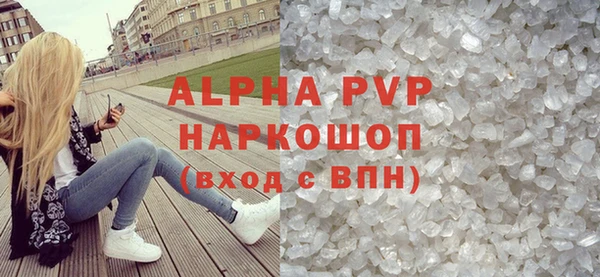сатива Беломорск