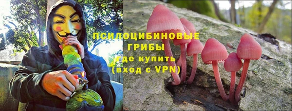 трава Белокуриха