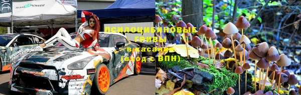 сатива Беломорск