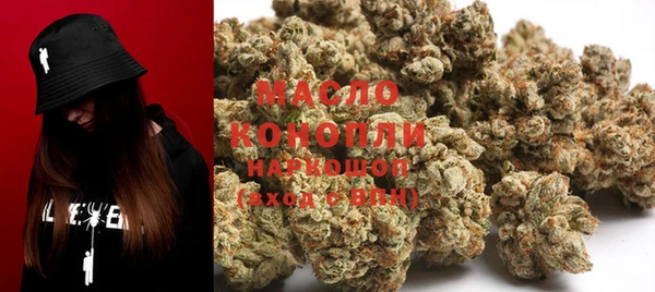 сатива Беломорск