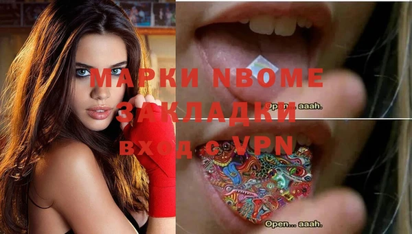 сатива Беломорск