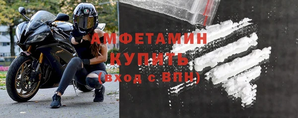 трава Белокуриха