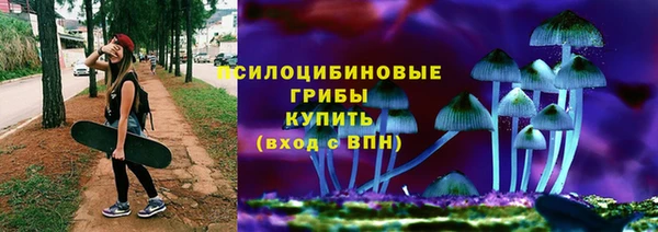 сатива Беломорск
