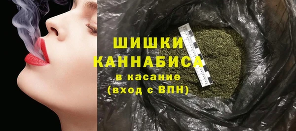 сатива Беломорск