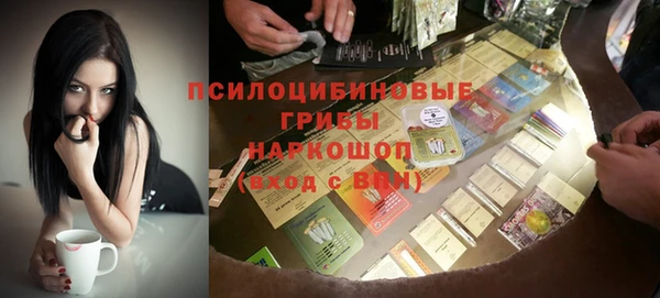 трава Белокуриха