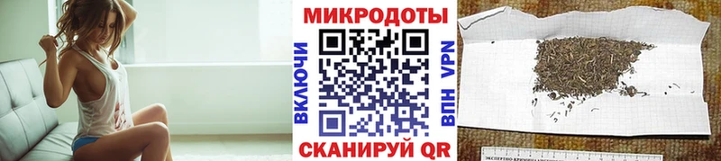 Псилоцибиновые грибы Psilocybine cubensis площадка какой сайт Кяхта